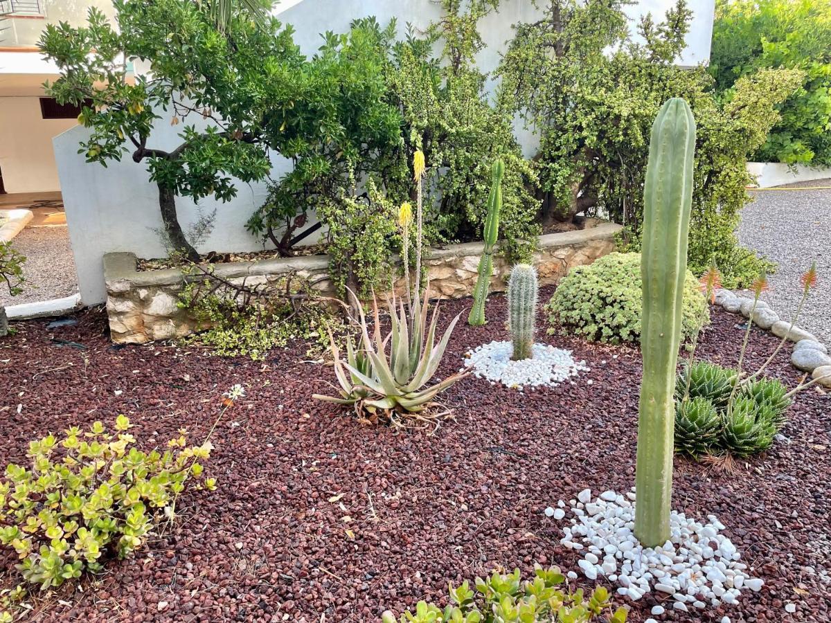 Can Mossenyer San Antonio  Exterior photo
